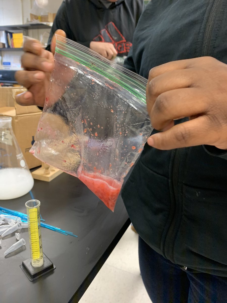 science_anderso's tweet photo. Students had a lot of fun doing #DNAextraction today! Science teachers have the best jobs! #CarverAcad #Biology #CCPS_Science #genetics https://t.co/VWki4LmAgv