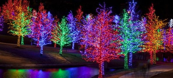 Conscious Content: Holiday guide highlighting CCSD Members and their goods. 🎁 - mailchi.mp/d3d1b49c7624/c…