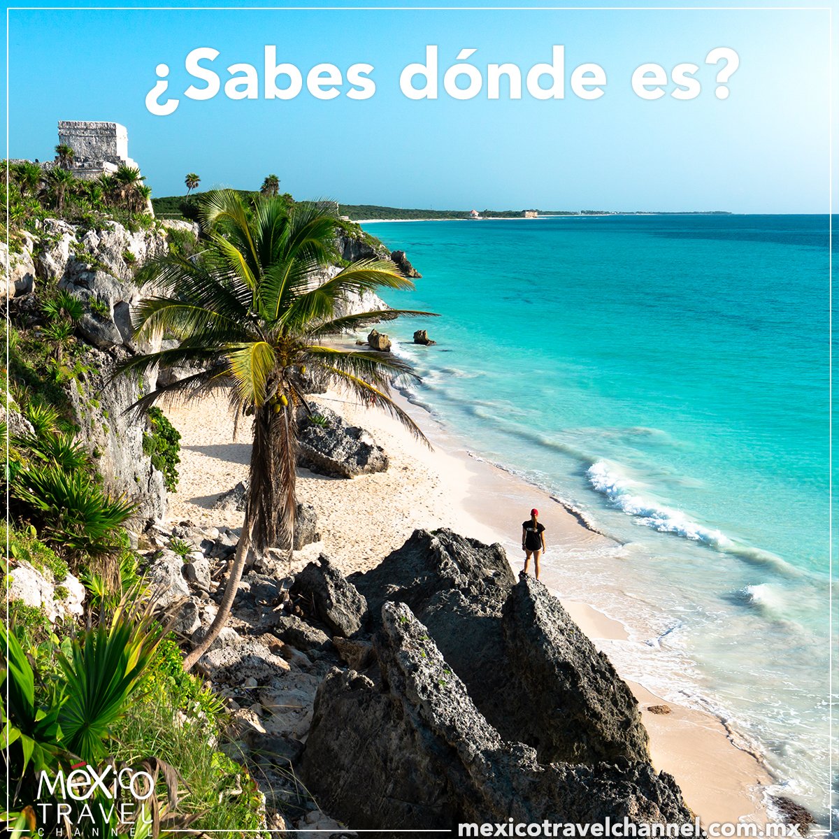 México Travel Channel tweet media