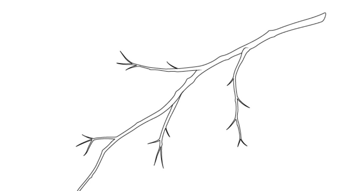 Ветка без листьев. Ветка рисунок карандашом для детей. Веточки для рисования. Веточка дерева раскраска. Ветка для рисования.