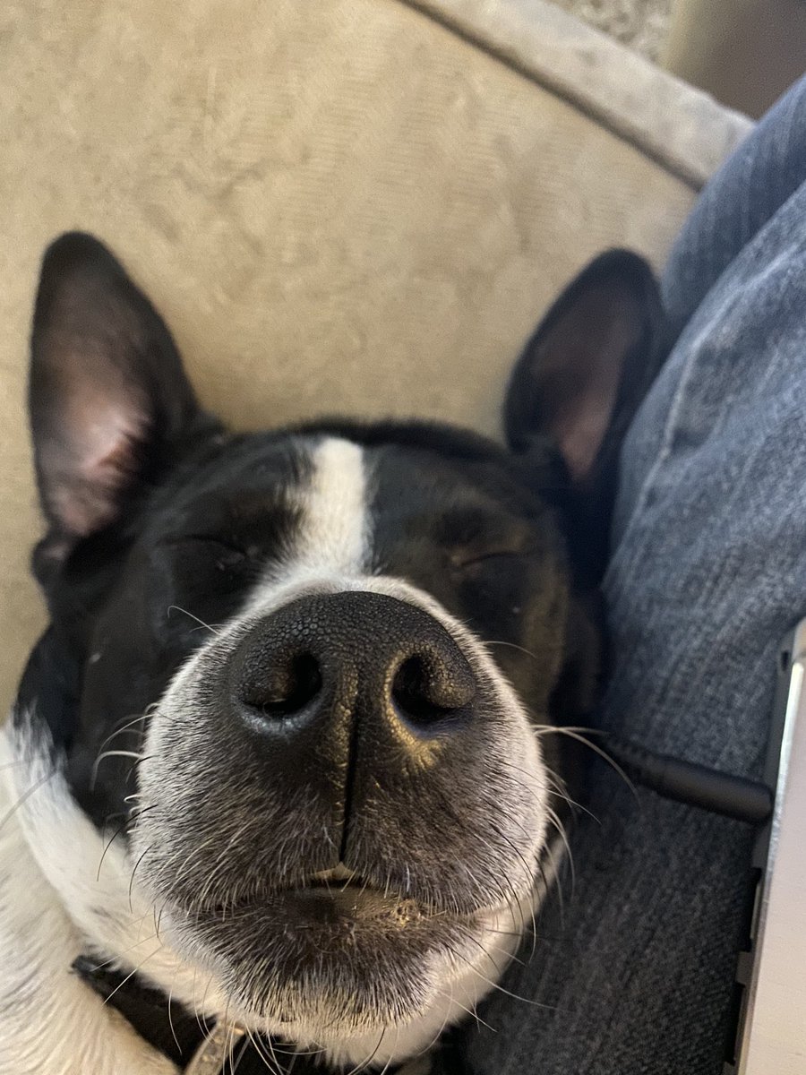 Scott W. Luton tweet media