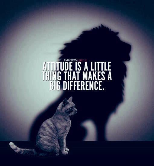 Leonel Estofan MD tweet media