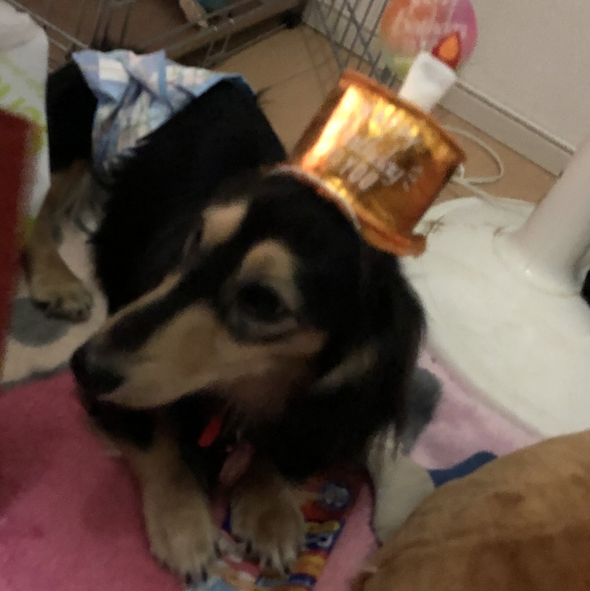 くう Ku Md0623 Twitter