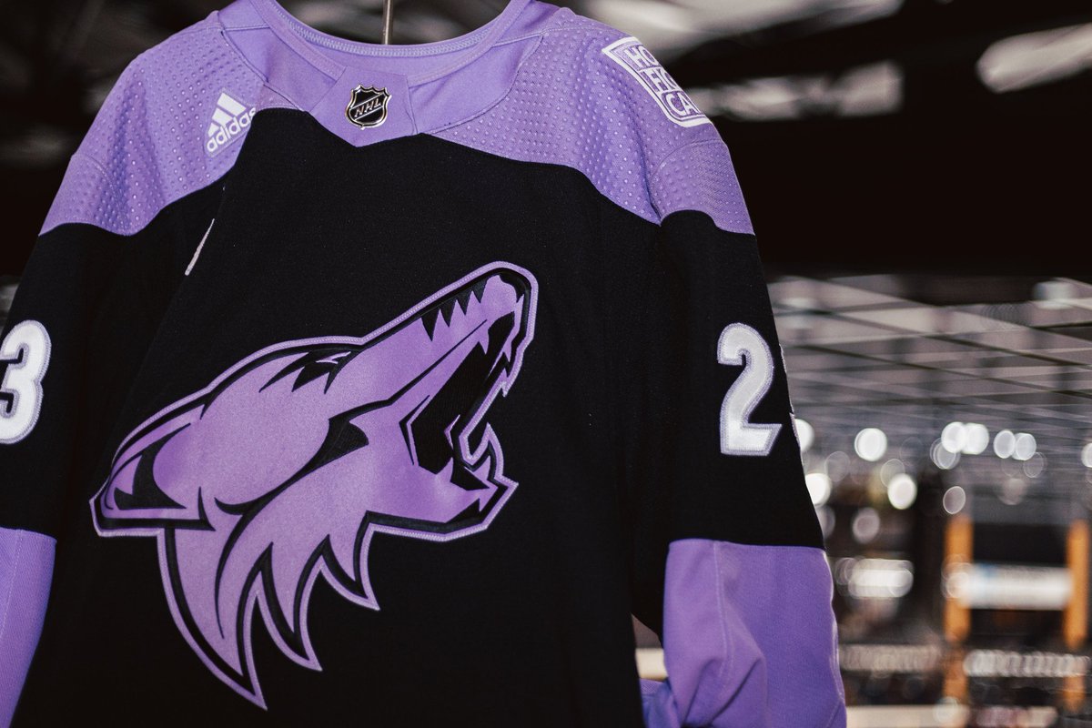 arizona coyotes hockey fights cancer