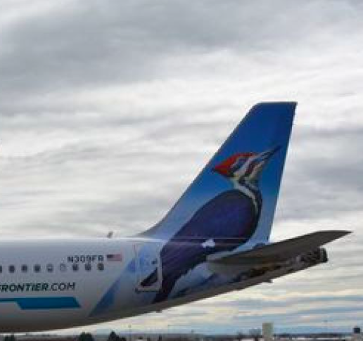 LIMacArthur's tweet photo. The pileated woodpecker is native to North America, & is found flying across the country. We hope you'll do a little flying of your own on @FlyFrontier from convenient ISP. Now, there are more flights than ever! #flymore #stresless #fymacarthur https://t.co/mDjkQAcSMJ