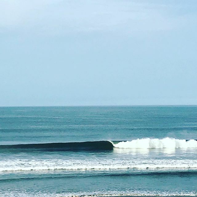 The Paddleboard Co. tweet media