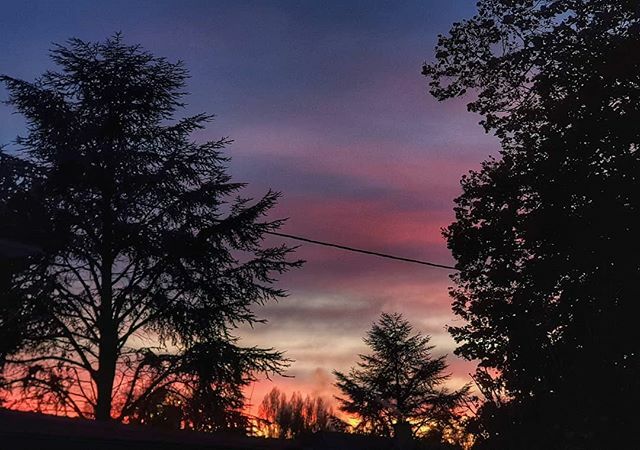 computer_slave's tweet photo. Photo du soir, bonsoir ! #Winter #Sundown #Alsace #hautrhin #chalampe #color #Samsung #GalaxyNote8 #snapseed #hdr #arbre #trees https://t.co/UVWMa5Uwpy
