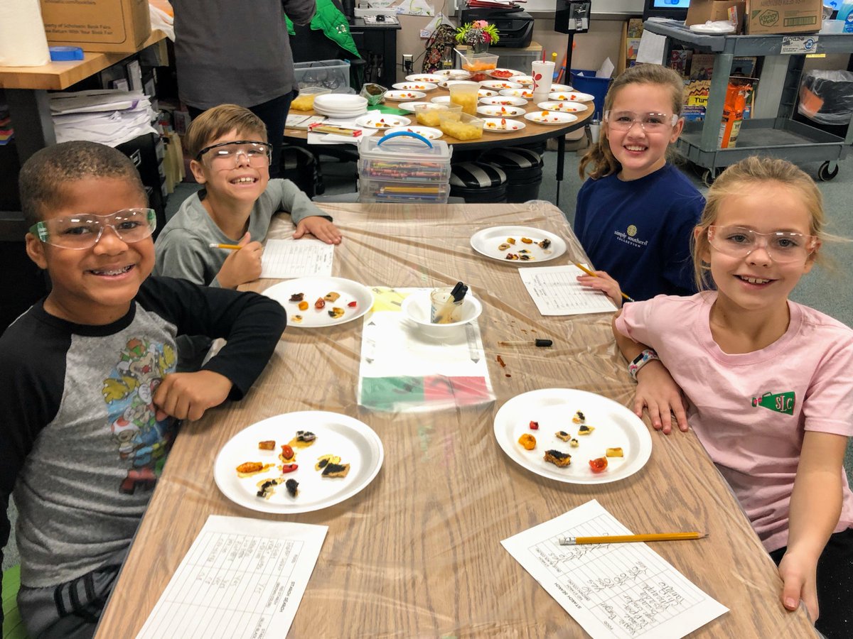 It looks like Science Day at <a href="/RockenbaughES/">Rockenbaugh ES</a> was a hit! These little scientists look like they have had a great day!