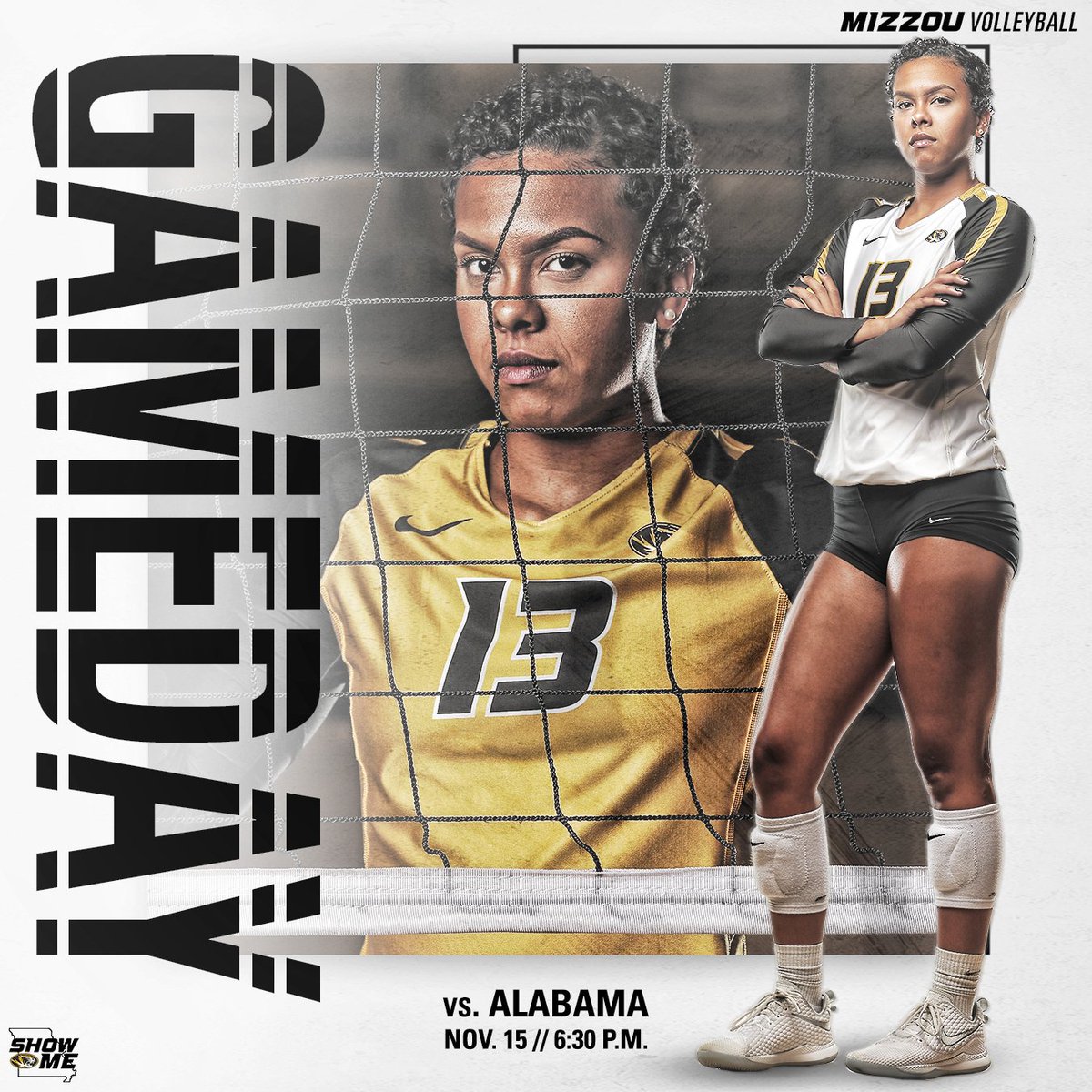 Mizzou Volleyball tweet media