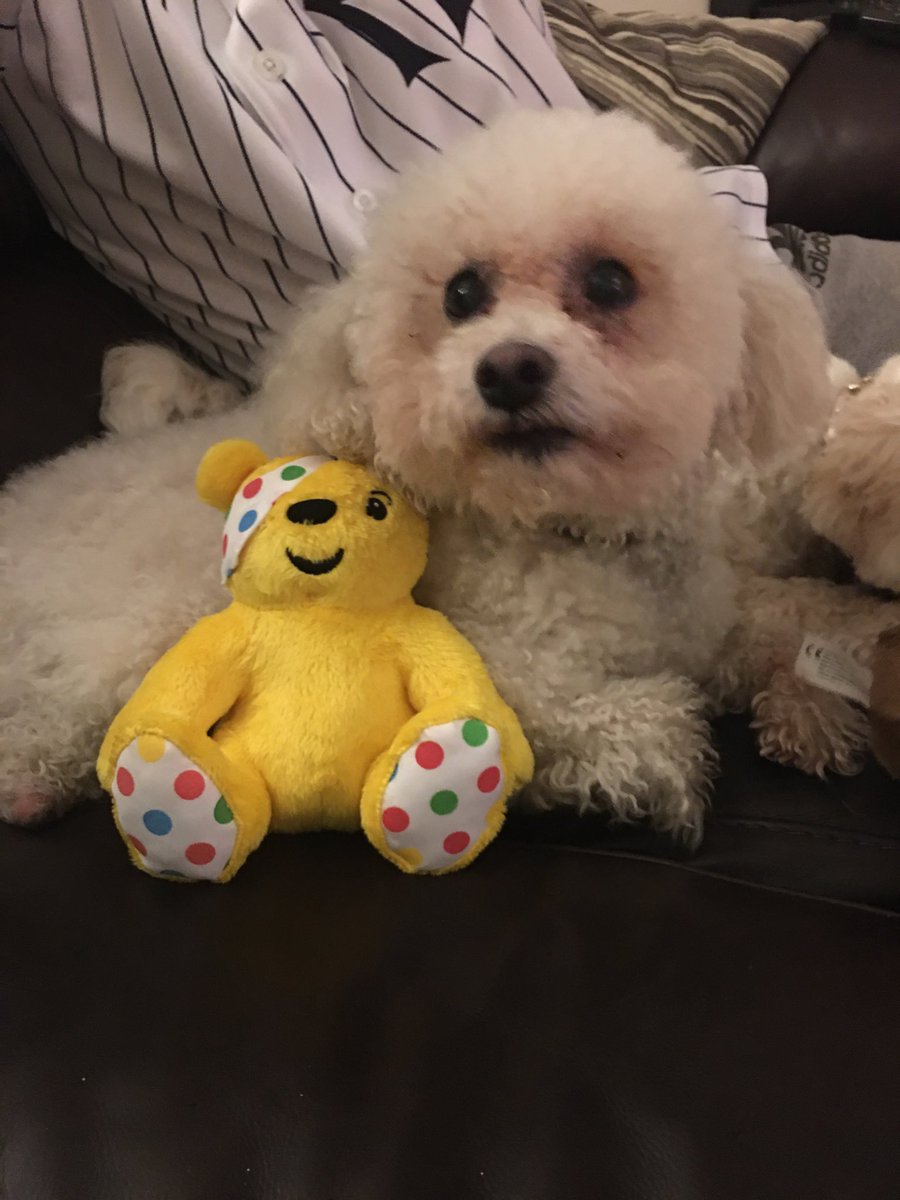 Pals! I’s got a Pudsey! #ChildrenInNeed2019 #givewhatyoucan