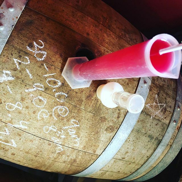 Who wants (NEEDS) to #geekout on #gamay this Monday?  @popwine_yvr is featuring #oldworld and #newworld examples that #gamay lovers will enjoy sampling.  I @bcwineguy1 will help pour and maybe have a bubbles with me😉
Watch @popwine_yvr for more detai… ift.tt/2KocwaM