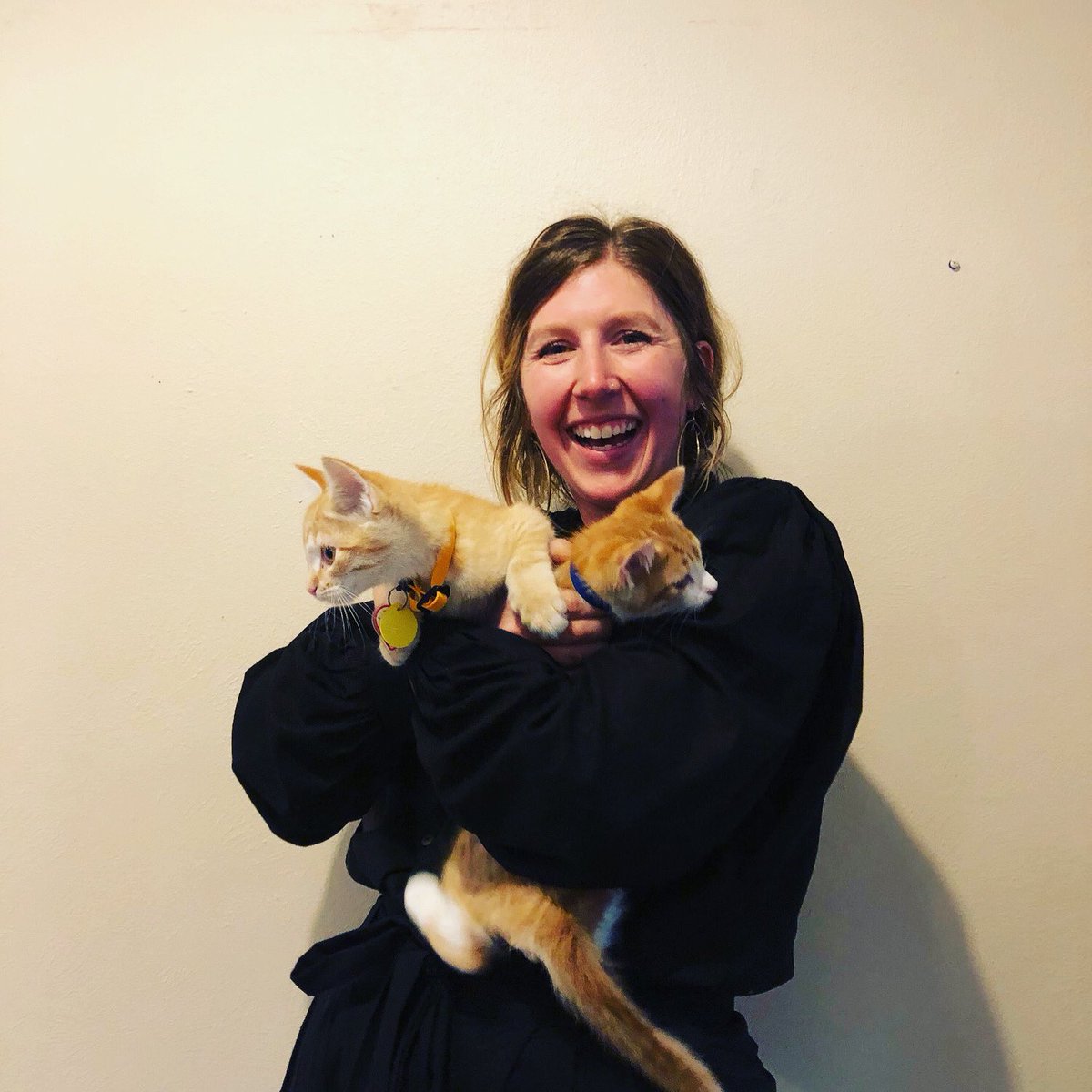 Adopted! Congratulations, Orange and Apricot! #adoptmt #myhswm