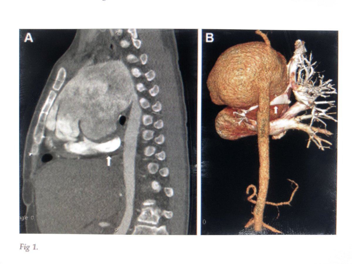 Tim Slesnick tweet media
