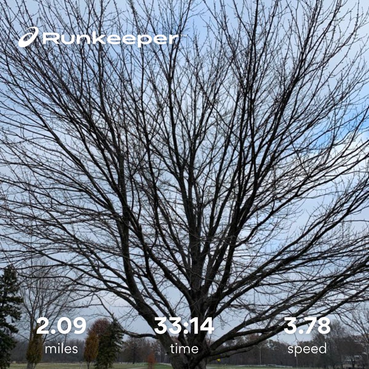 Richard216's tweet photo. All the leaves are gone, and the sky is gray...  Name that song https://t.co/5WaSVTWXiI