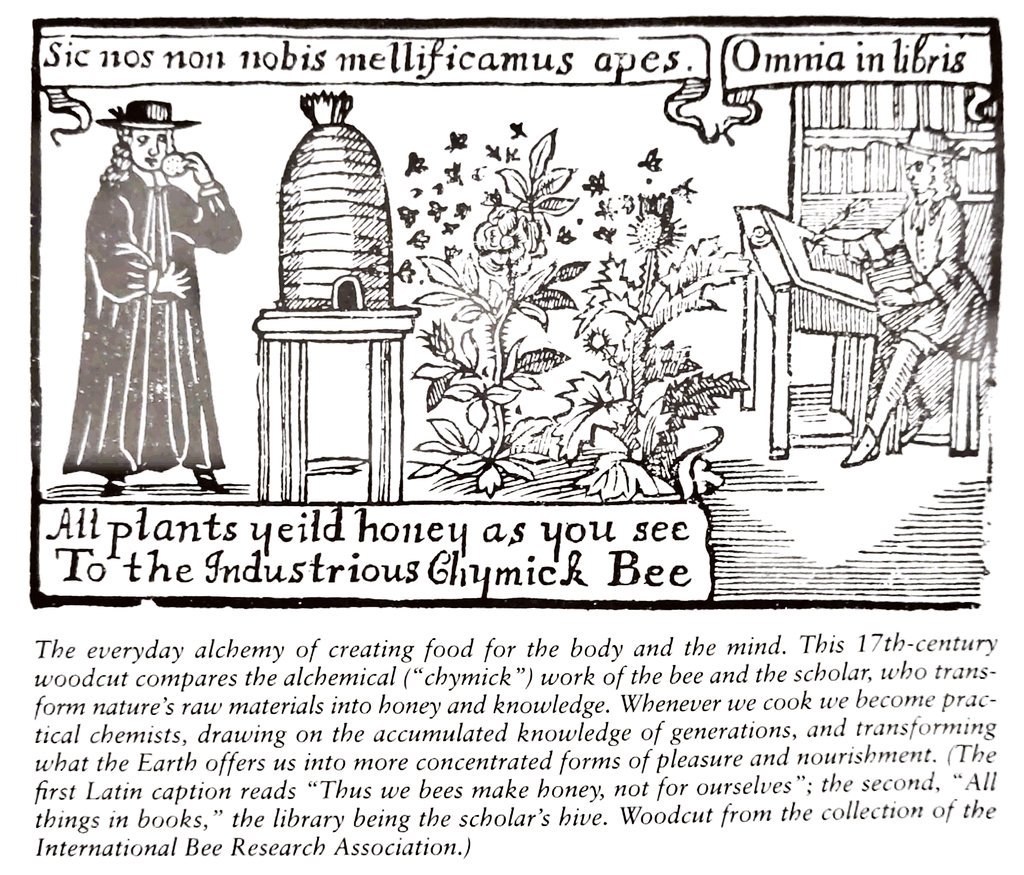 primopezzo's tweet image. "Whenever we cook we become practical chemists, drawing on the accumulated knowledge of generations, and transforming what the Earth offers us into more concentrated forms of pleasure and nourishment." - 17th Century 🙌
