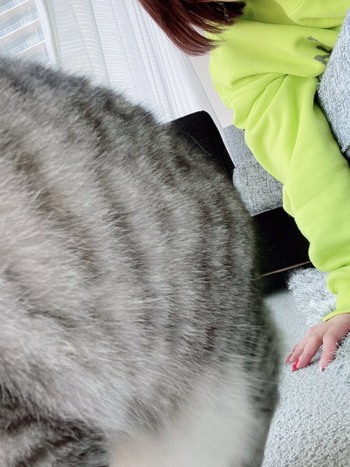 せっかく帰ってきたのにネコが一緒に写真撮ってくれないから寝る。 2時間くらいで起きてメッセ行かねば💪 https://t.co/1NQla9LMbZ<a href="/tag/%E3%81%8A%E3%81%86%E3%81%A1%E6%99%82%E9%96%93"class="tags"><span>#おうち時間</span></a>