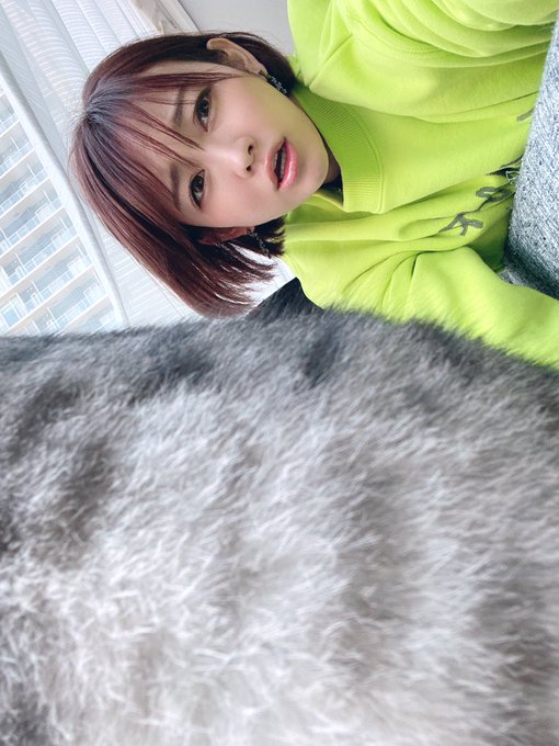 せっかく帰ってきたのにネコが一緒に写真撮ってくれないから寝る。 2時間くらいで起きてメッセ行かねば💪 https://t.co/1NQla9LMbZ<a href="/tag/%E3%81%8A%E3%81%86%E3%81%A1%E6%99%82%E9%96%93"class="tags"><span>#おうち時間</span></a>