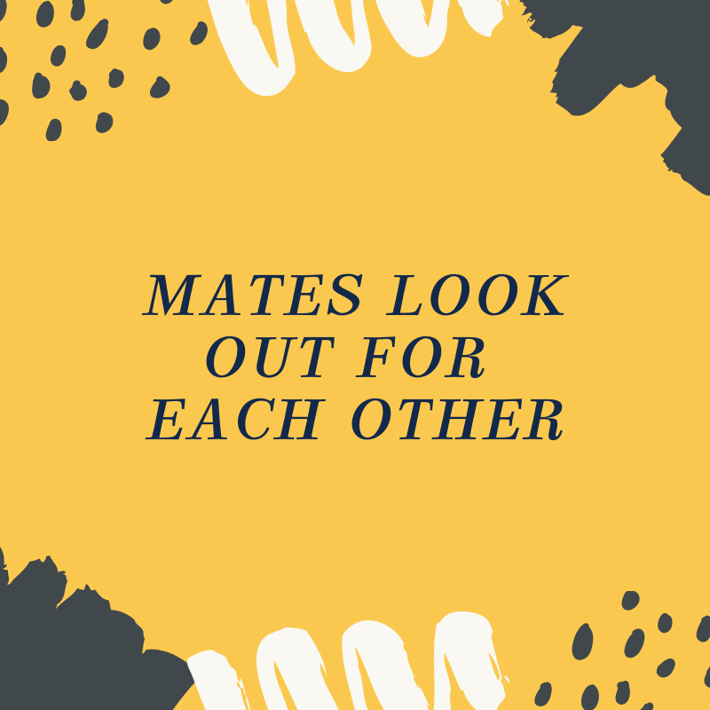 saveourmates's tweet photo. A huge thank you to all who joined us over the course of our roadshows.

Stay tuned for more Save Our Mates events near you!

Proudly supported by @countrysaphn  🤝

#lookoverthegatesaveamate #saveourmates #mindhealth https://t.co/fMTfIKA4XT