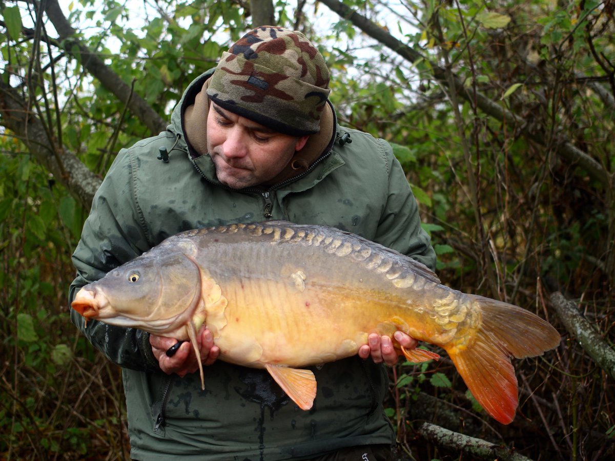 littleE70's tweet photo. Even in the cold they couldn’t resist the @MainlineBaits essential cell https://t.co/fBZJ2ZZIrr