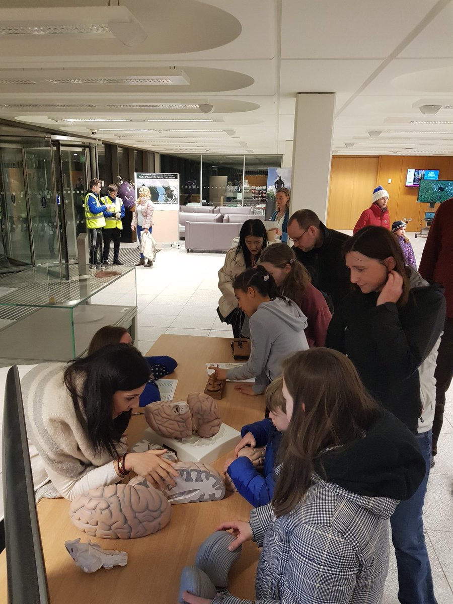 RRocheNeuro's tweet image. A fun night to close #ScienceWeek2019 at @MaynoothUni playing with brains and kids with @deirdre_desmond @CMThornberry @maria_glm @MUpsychdept
