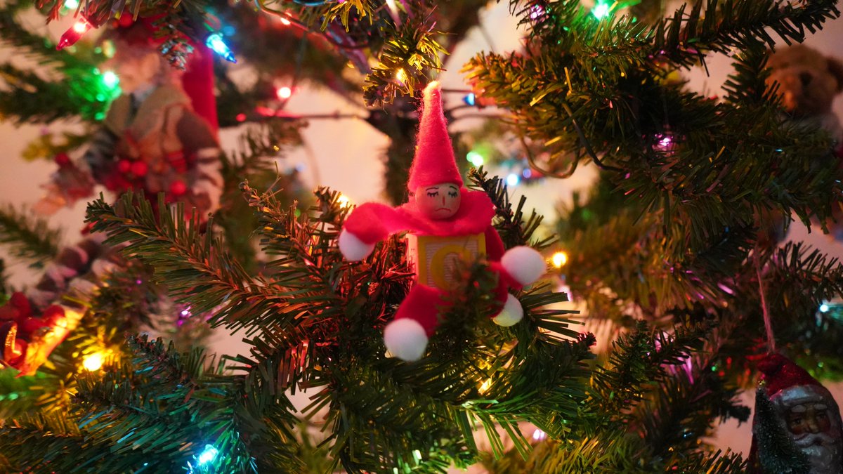 we christmas now bois 🎄