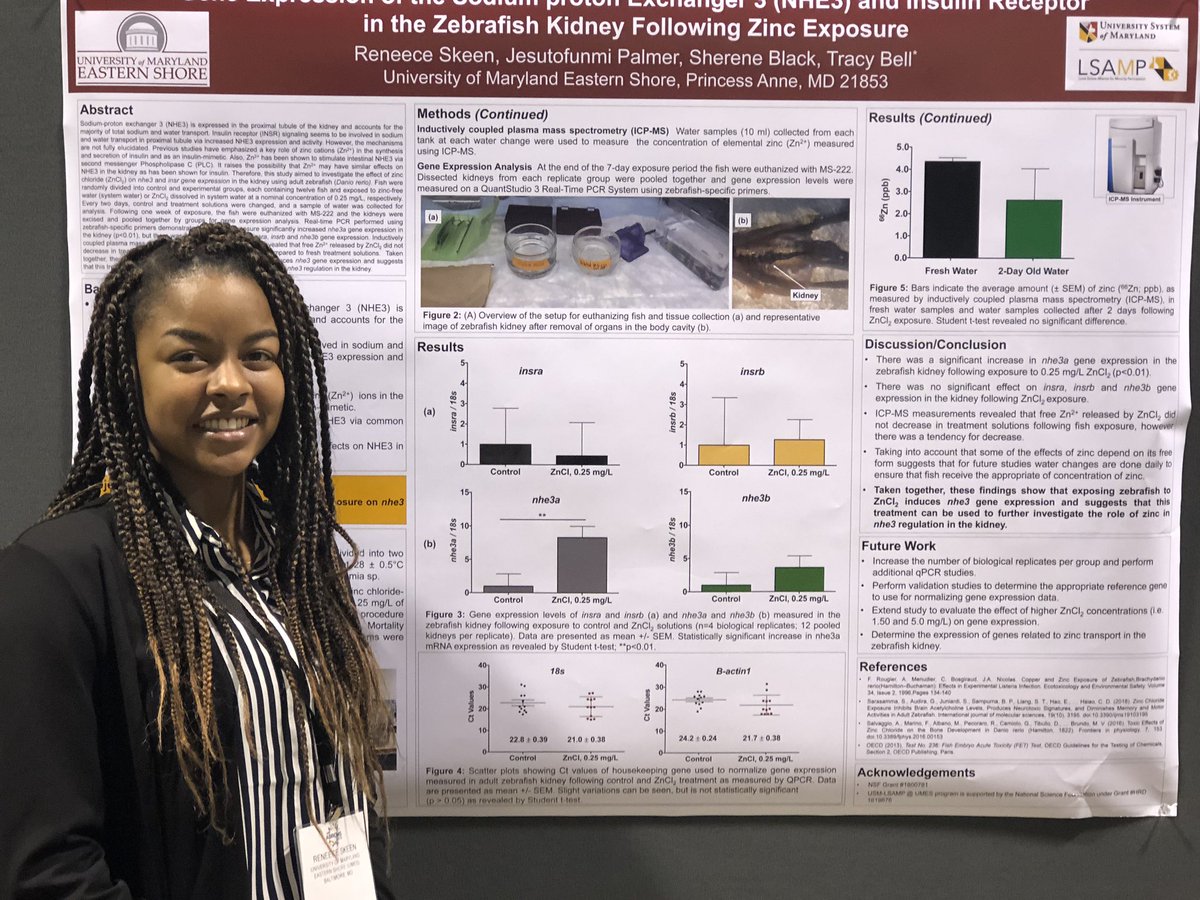 Tracy_D_Bell's tweet photo. This is a very proud moment! I attended @ABRCMS #ABRCMS as an undergrad. Fast-forward &amp; I’m back as an @NSF_EHR funded PI @UMESNews #UMES. This time a student of my lab, Reneece @Necey_d, presents at her 1st research conference! @UMES_LSAMP @USM_LSAMP @UMES_DNS #ThingBigDiversity https://t.co/a5r4jU4Oj5