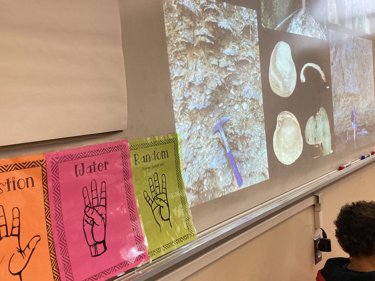 Northside2ndGrade tweet media