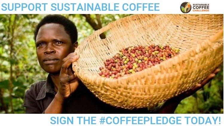 Sustainable Coffee Challenge tweet media