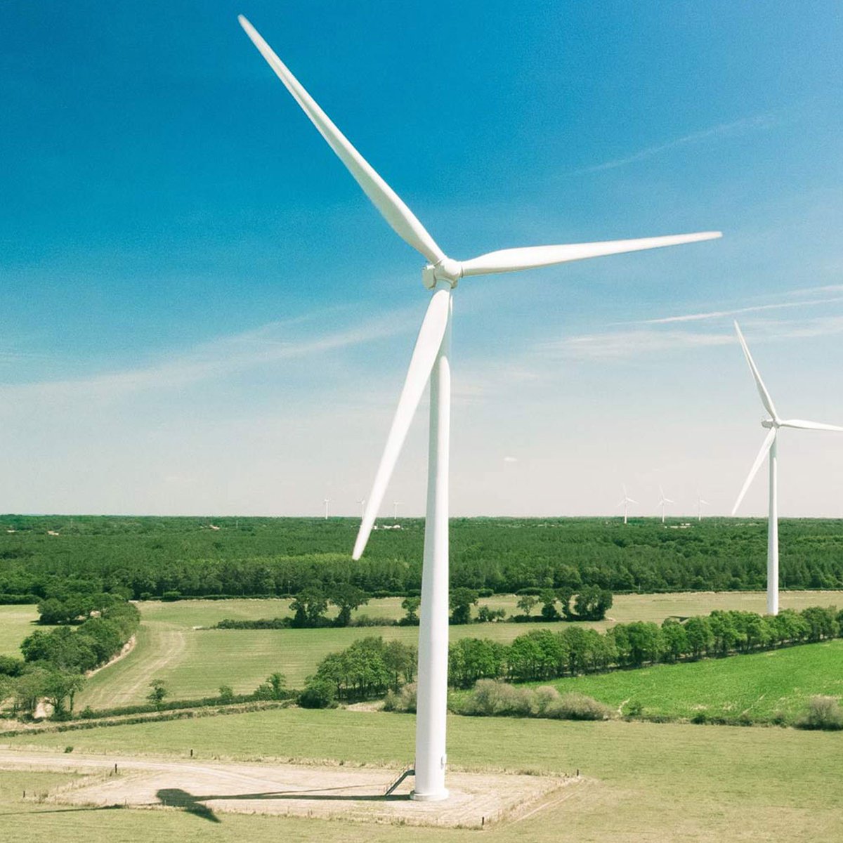 ValueWindows's tweet photo. Environmental Responsibility - For the Human, and for all of the society.

#valuewindowsdoors #windows #doors #duarte #morenovalley #manufacturer #sourtherncal
#environmental #substainability #responsibility https://t.co/cg8aAm0EiB