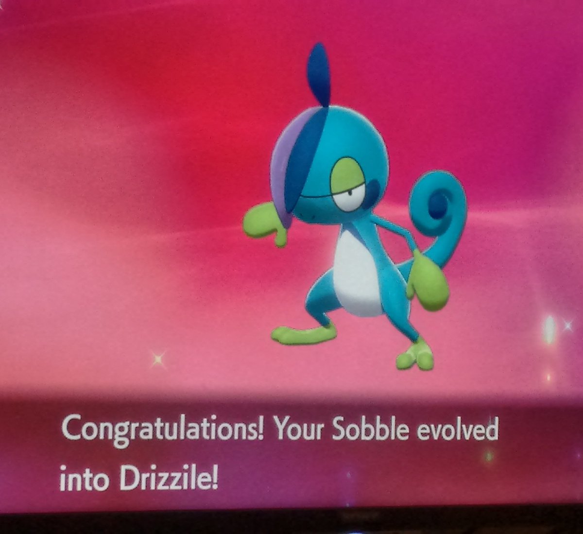 RetroRaider_rr's tweet photo. Ding
#pokemonswordandshield #pokemon #ding #8genpokemon #galarregion #drizzile #retroraider https://t.co/kmr28DGX3y
