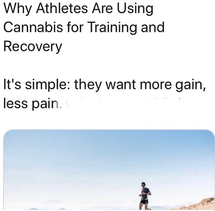 ForStonersProd's tweet photo. Work smarter not harder🤷‍♂️💨
#weedhealth #weedfitness #cbd #workingouthigh #ForStoners #420life #420 #weed #weedhumor #weedhumor420 #dank #dankweed #420lifestyle #weedlifestyle #weedlife #weedmemes #420memes #dankmemes #stonerlife #stoner #stoned #high #highaf #stonedaf #cannabis https://t.co/iaebTNlVRO