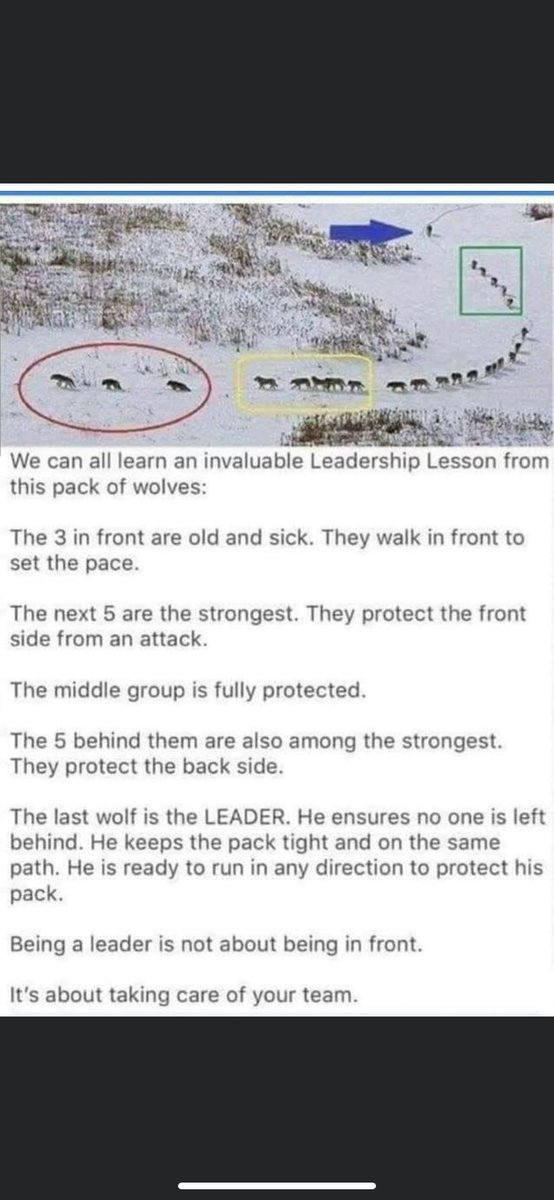 For any athlete that needs to see this