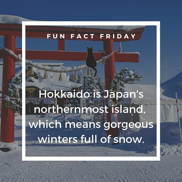Winter's just around the corner! Who's ready for some snow?⁠
.⁠
.⁠
.⁠
.⁠
.⁠
#hokkaidobrewing #hokkaidobeers #beerstagram #cheers #craftbeers #drinkcraft #philly #philadelphia #beer #drink #drinkcraft #fruitbrewing #fruitbeer #craftbeergeek #funfa… ift.tt/377DQDK