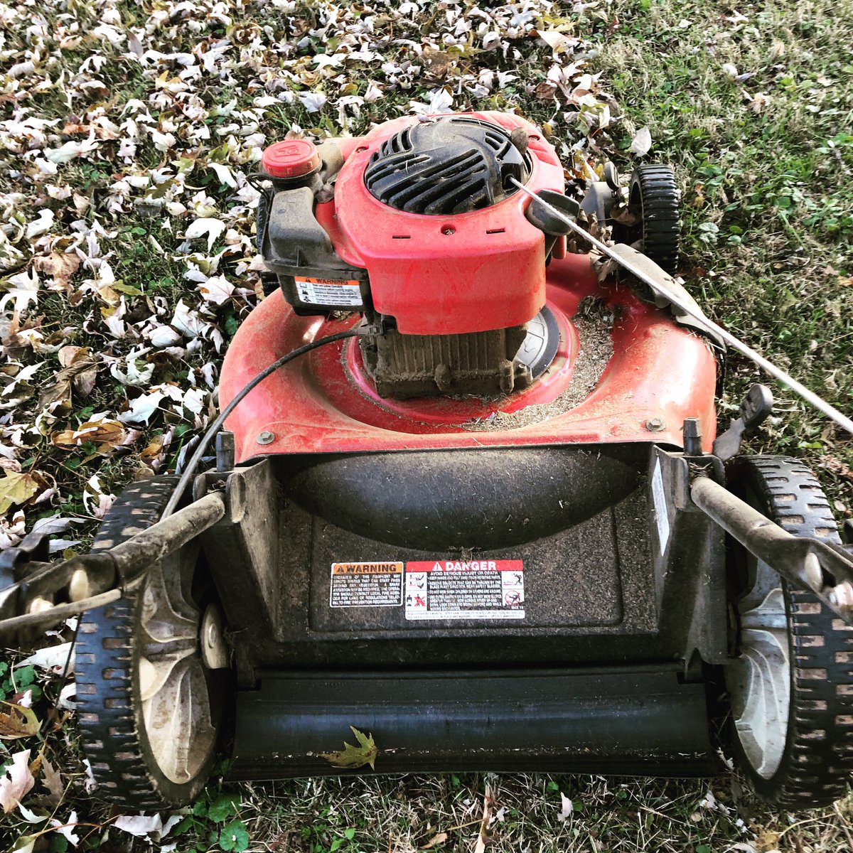 TheLeesOfMemory's tweet image. 🎶Hello yardwork, my old friend... I&apos;ve come to write with you again...🎶 #NewJamz
 #MoonShot #TreeTrash #LeesIV #HighBiasACassetteBasedOperationTM