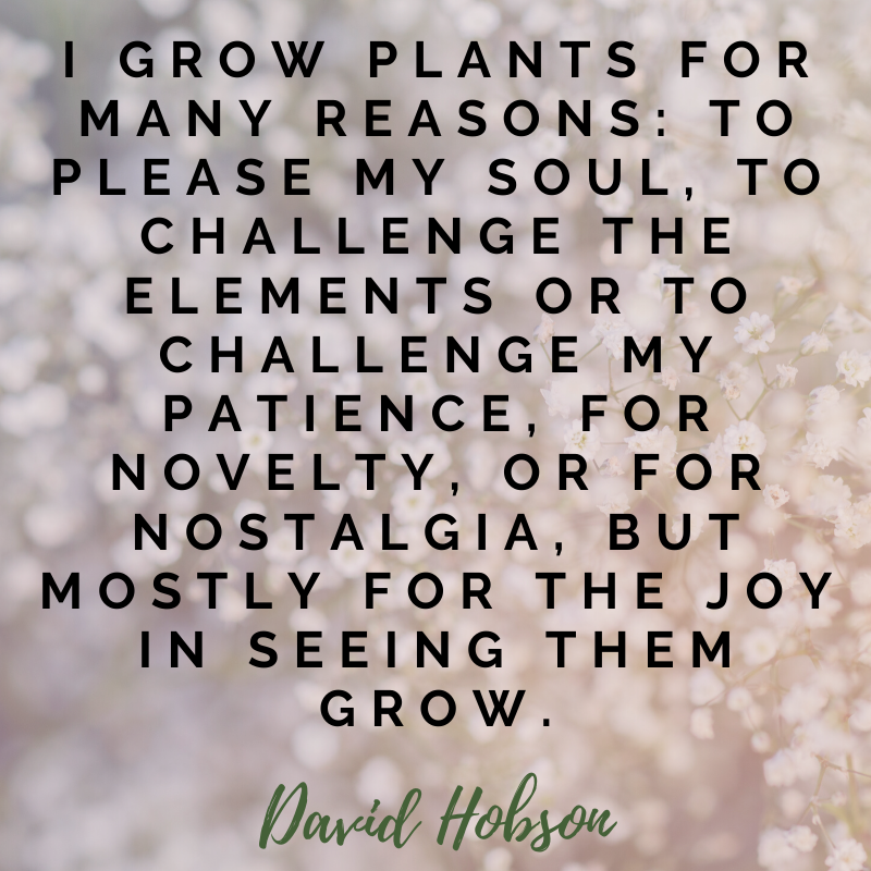 GardenUnlimited's tweet photo. Don't you love gardening?
#gardenequalsoul #lovetogarden #lovemygarden #gardenchallenge #favoriteplacetobe #growing #plants #planting #gardening https://t.co/sXyVeLxq9A