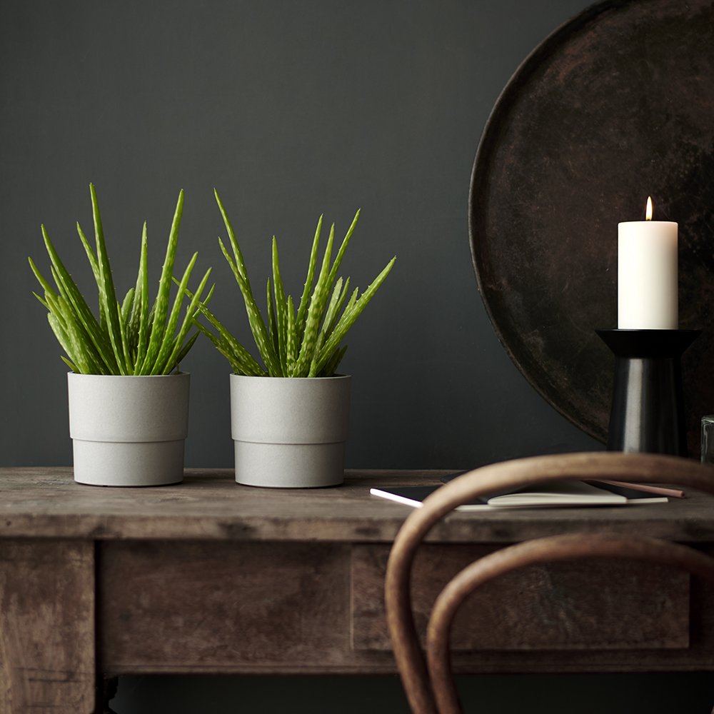 UrbanJungleBlog's tweet photo. GREEN GIFT GUIDE ππΏ Aloe vera plant in NYPON planter from @IKEADeutschland @IKEAUSA https://t.co/8Jie5zpK5W #ikea #urbanjunglebloggers #greengiftguide https://t.co/L3lulhBBQN