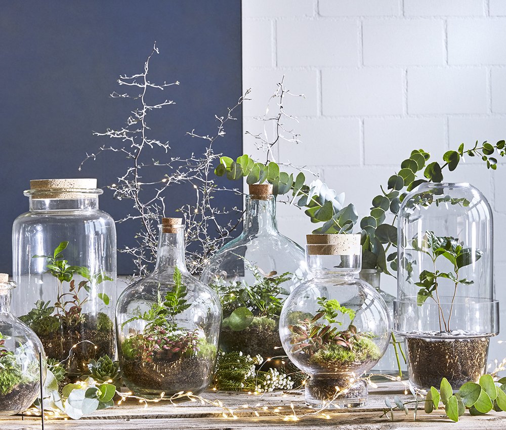 UrbanJungleBlog's tweet photo. GREEN GIFT GUIDE ππΏ DIY terrarium kits and ready made terrariums by Swiss brand Green Bubble https://t.co/7oLN8sdPCt #urbanjunglebloggers #greengiftguide https://t.co/gYCju5nRQB