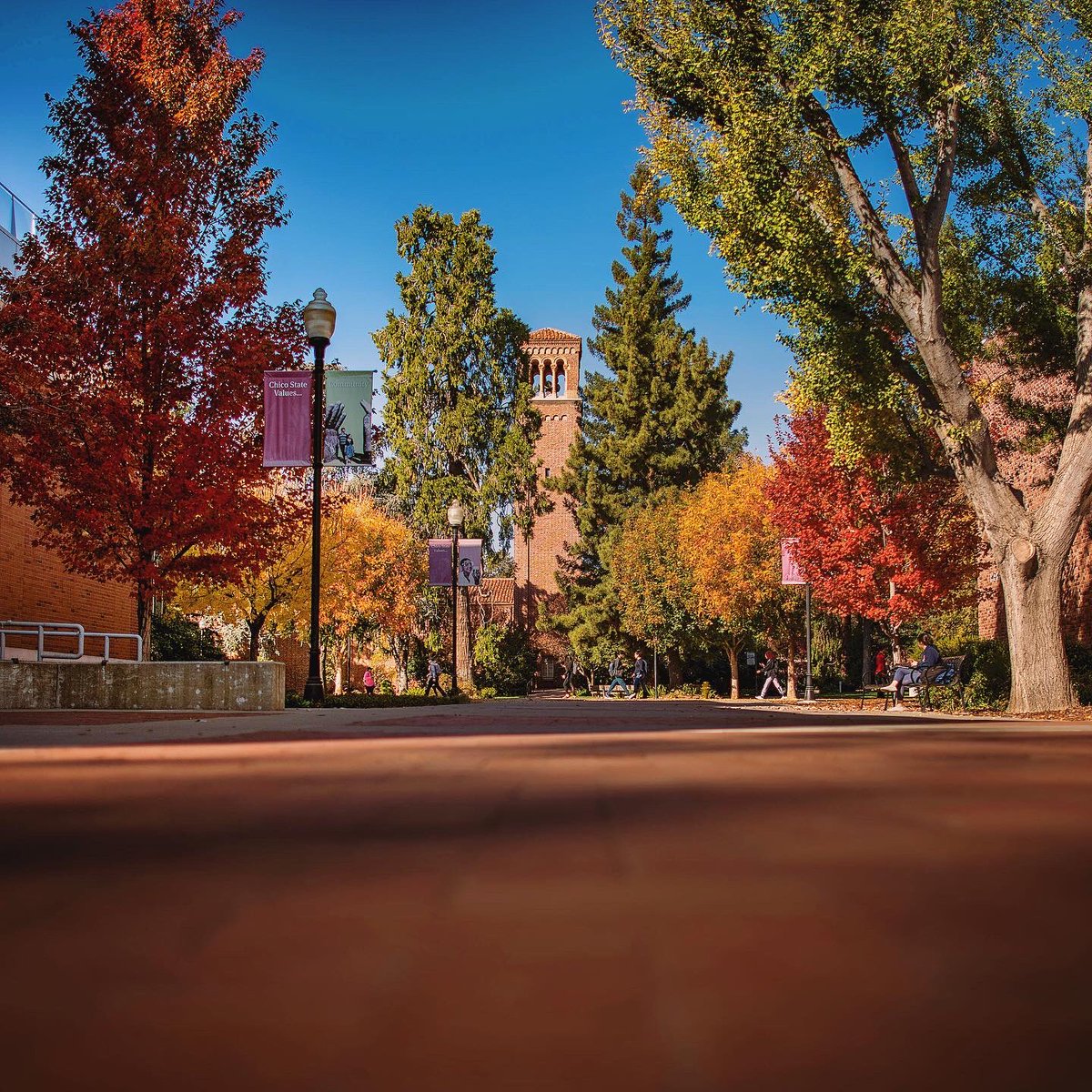 Jason Halley tweet media