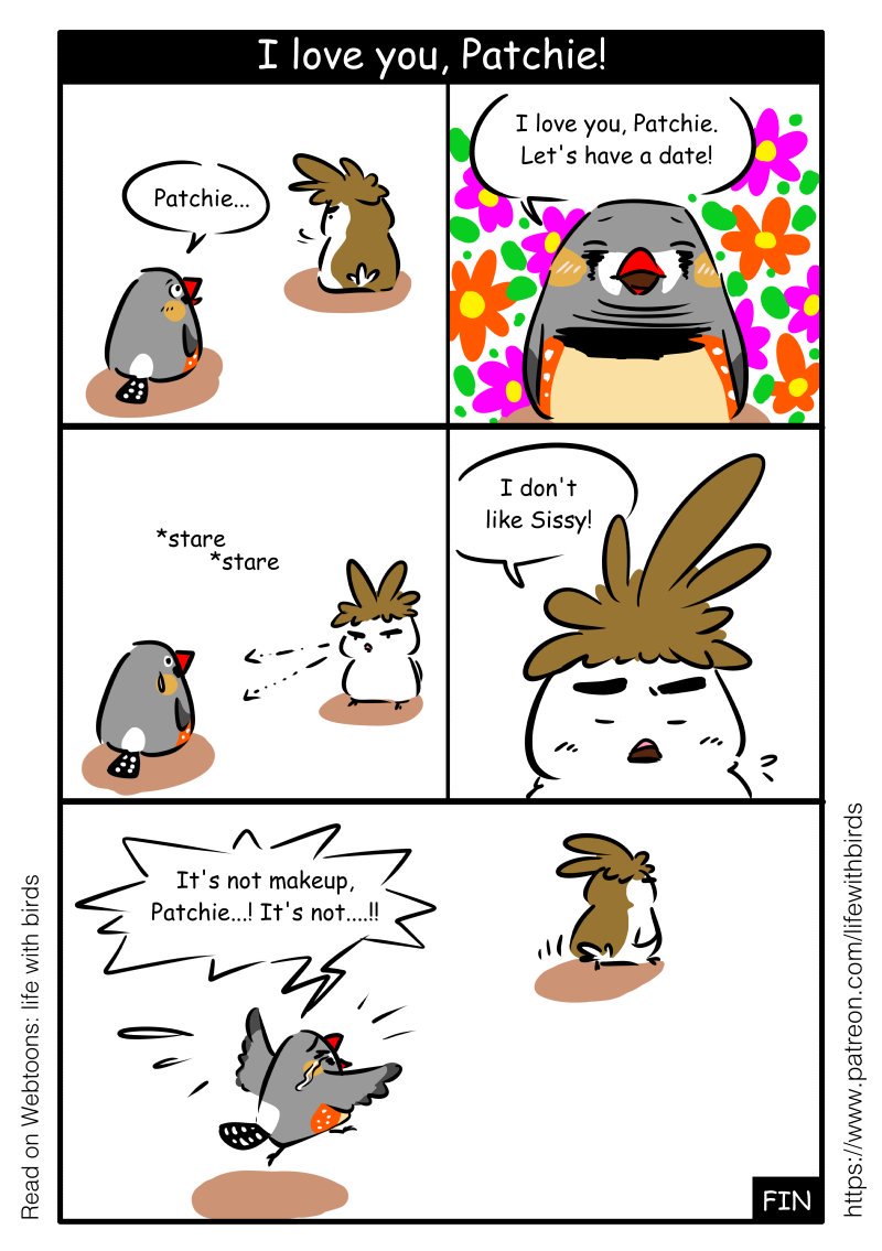 ArtOfEmm's tweet photo. #popepopthefinch #zebrafinch #patchiethefinch #societyfinch #birdcomic #finches https://t.co/gJzCiacWU5