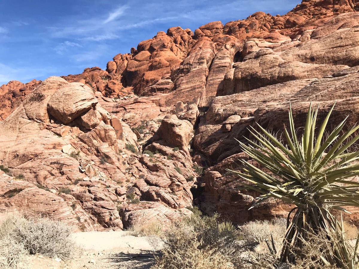 Crystal1a's tweet image. Took a stroll in the Mojave Desert on our last day in Vegas. 
#LasVegas #WorkOnTheGo #LastDay