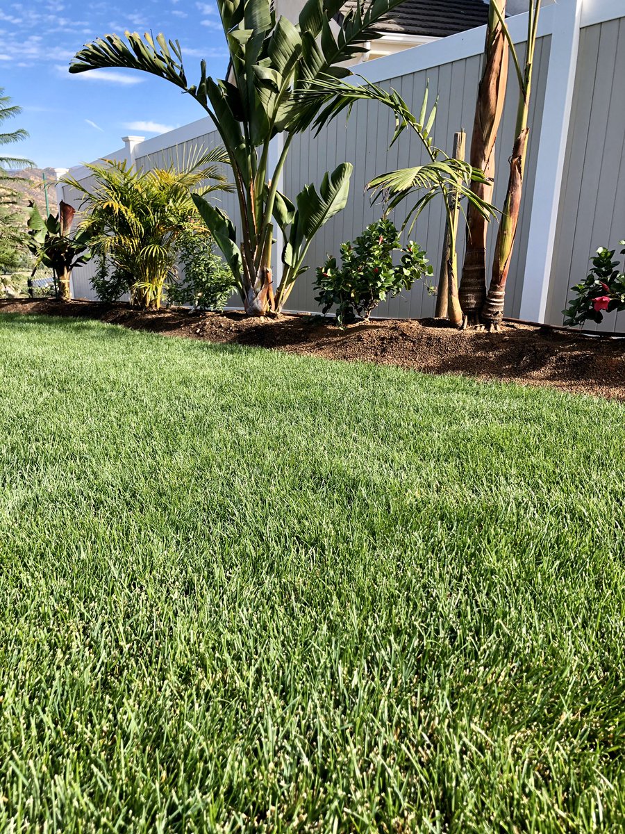 ZachKuenzi's tweet photo. Well this happened on my street this week!!  My neighbor claims they can’t seem to grow grass like me...? So enter the fake stuff! My #HGT and #TurfSaverRTF seems to be doing just fine?! How about some quality seed varieties and a little TLC! @BarenbrugUSA #MakeLifeBeautiful https://t.co/qp5CSNCWDi