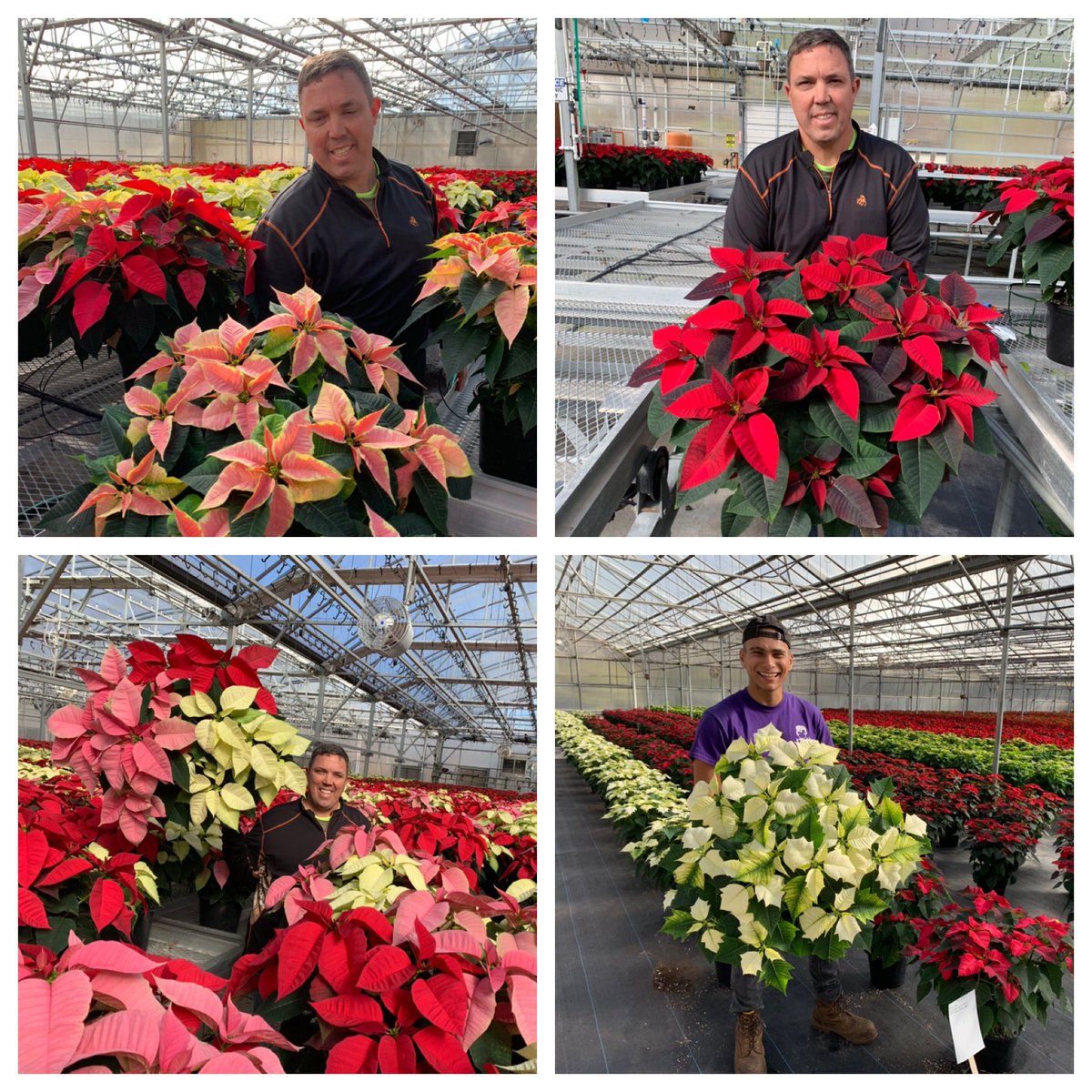 Christine Sweeney tweet media