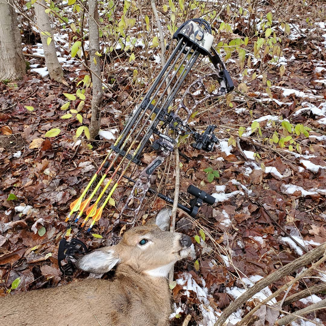 40 yard recovery.  #darkenergytech #cooksfatalattracdeerscents #titaniumarcheryproducts #TAP #tappedout #archery #iamsportsman #gowhereyoudontbelong #whatgetsyououtdoors #itsinmynature #gethushin #ameristepblinds #blackeaglearrows bit.ly/2QqiDz0