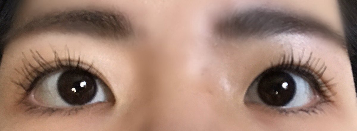 えん フルメイクしない日に限ってまつげがうまくカールする あくまでも個人的にだけど最近の中ではうまくいった方 眉毛は濃すぎた感