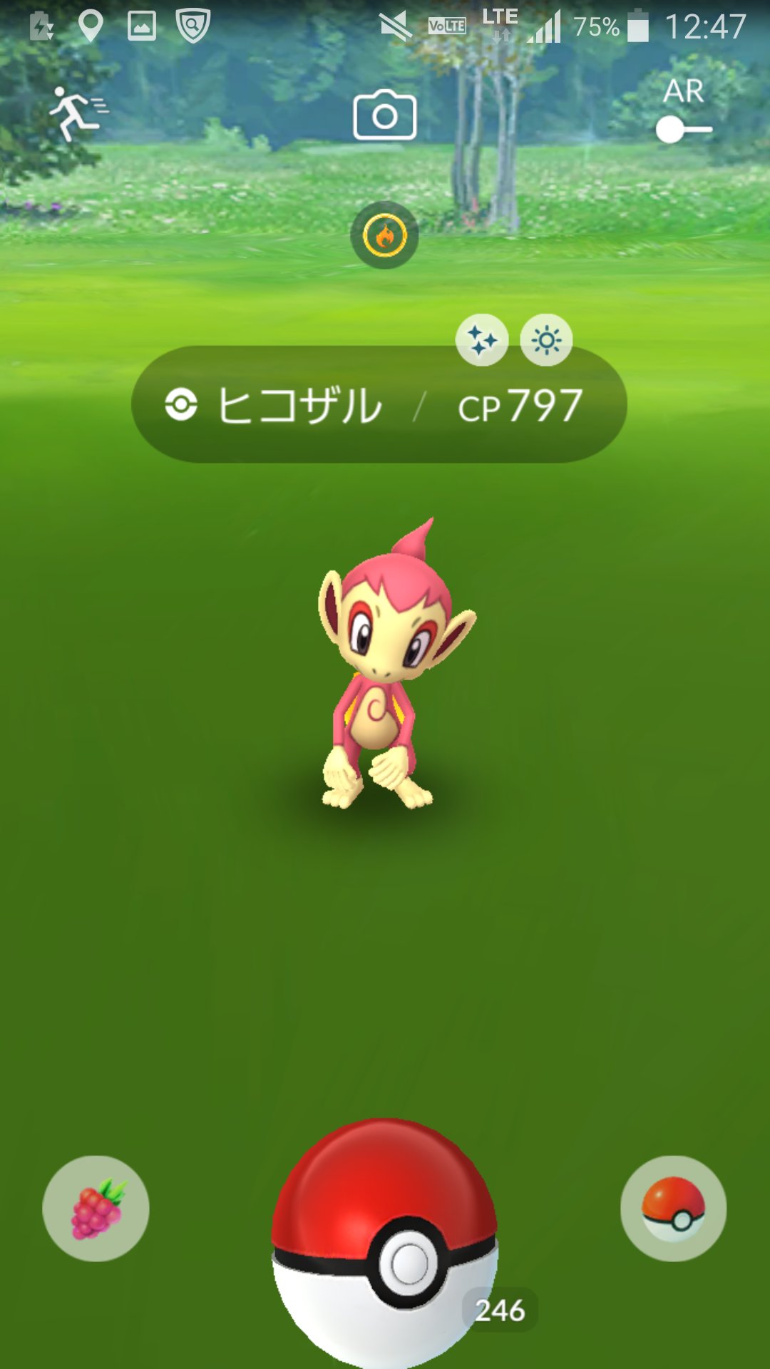 色違いゴウカザル Twitter Search Twitter