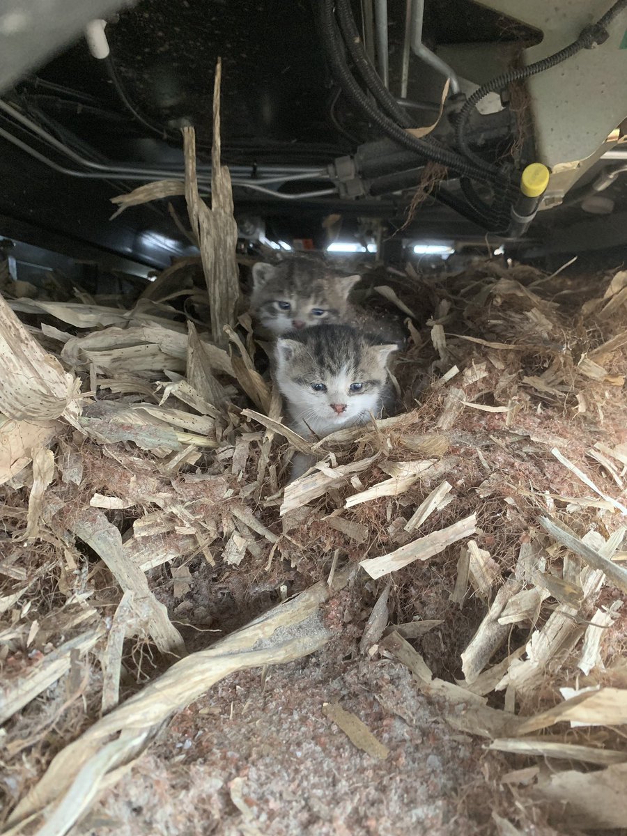 Catchat Hashtag On Twitter