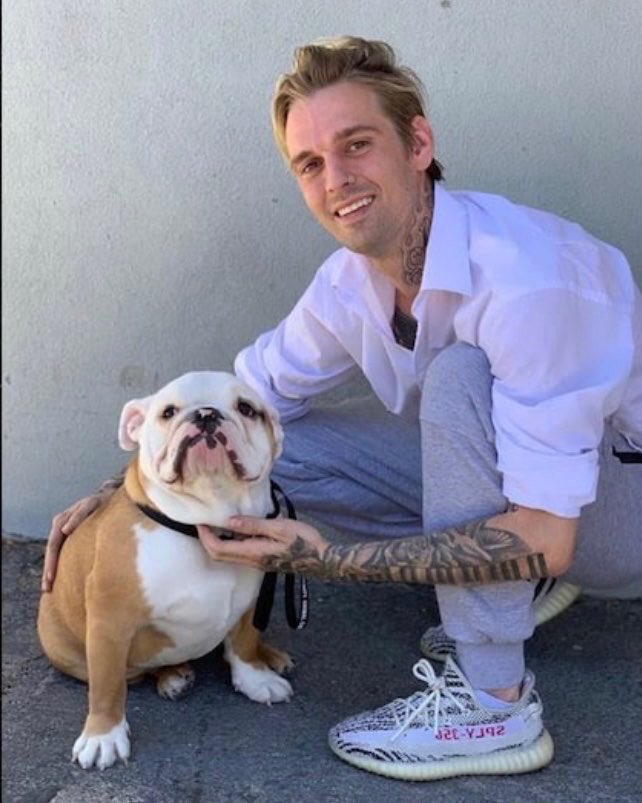 #3 MightyThis was the dog  #AaronCarter recently adopted from a local animal shelter and apparently also tried to flip for cash. Where’s Mighty, Aaron?