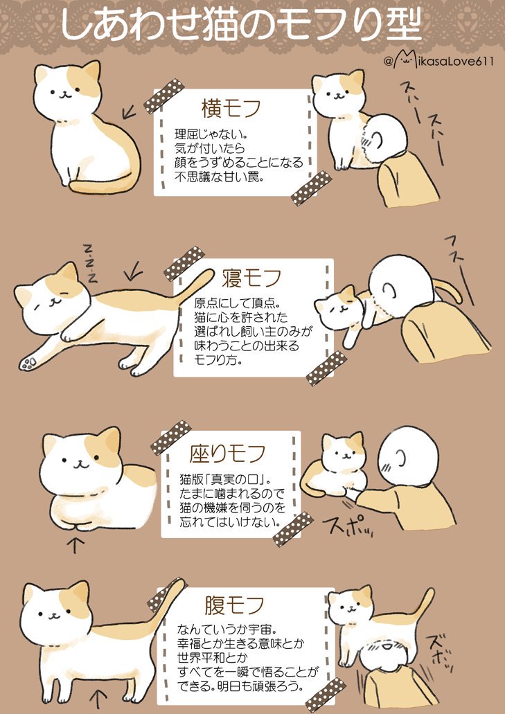 猫のモフり型(・ω・)

みなさんはどのモフり型が好きですか?
 