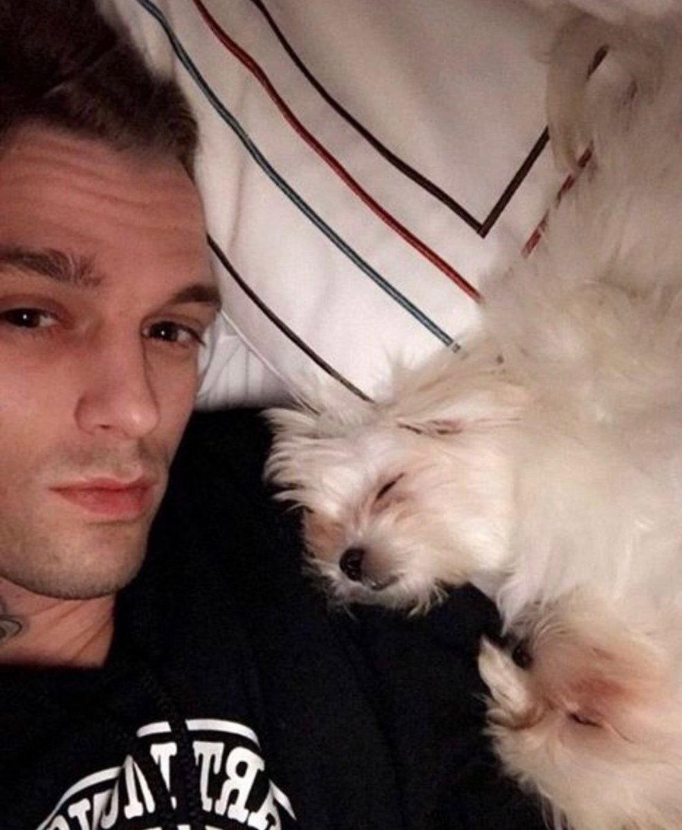 #6 and 7Gucci and Gabana,  #AaronCarter’s two Maltese. Rescued by an ex’s parents. Why did they need to be rescued, Aaron?