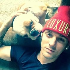 #10 KingKing was one of  #AaronCarter’s English bull dogs. King has passed away. We do not know the cause nor will we speculate